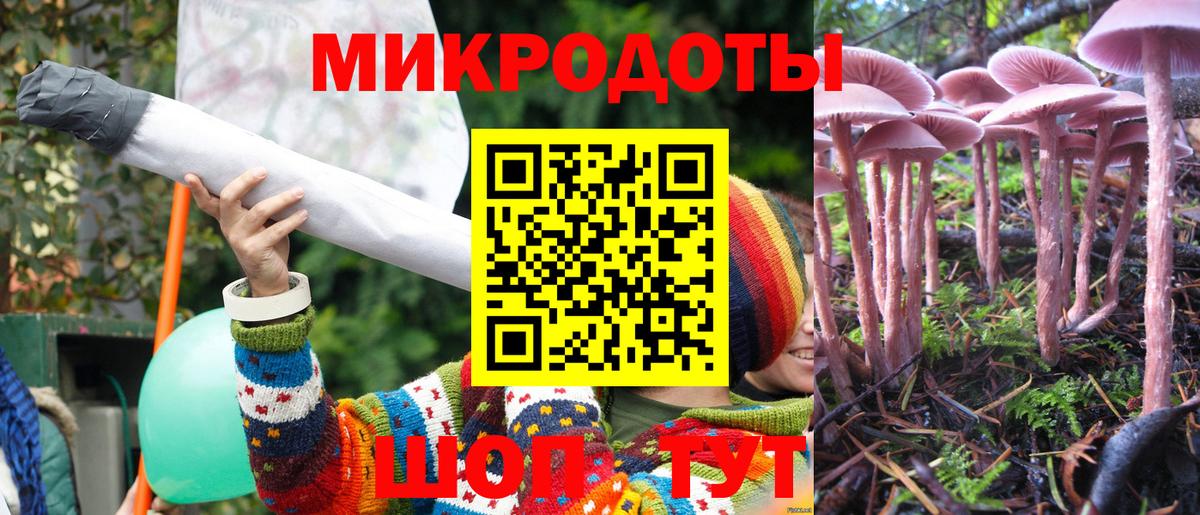 Галлюциногенные грибы Psilocybe Уссурийск